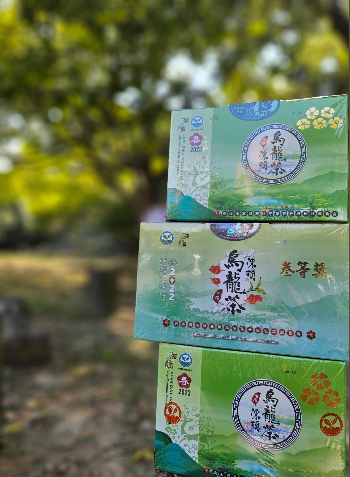 鹿谷凍頂茶葉合作社比賽茶