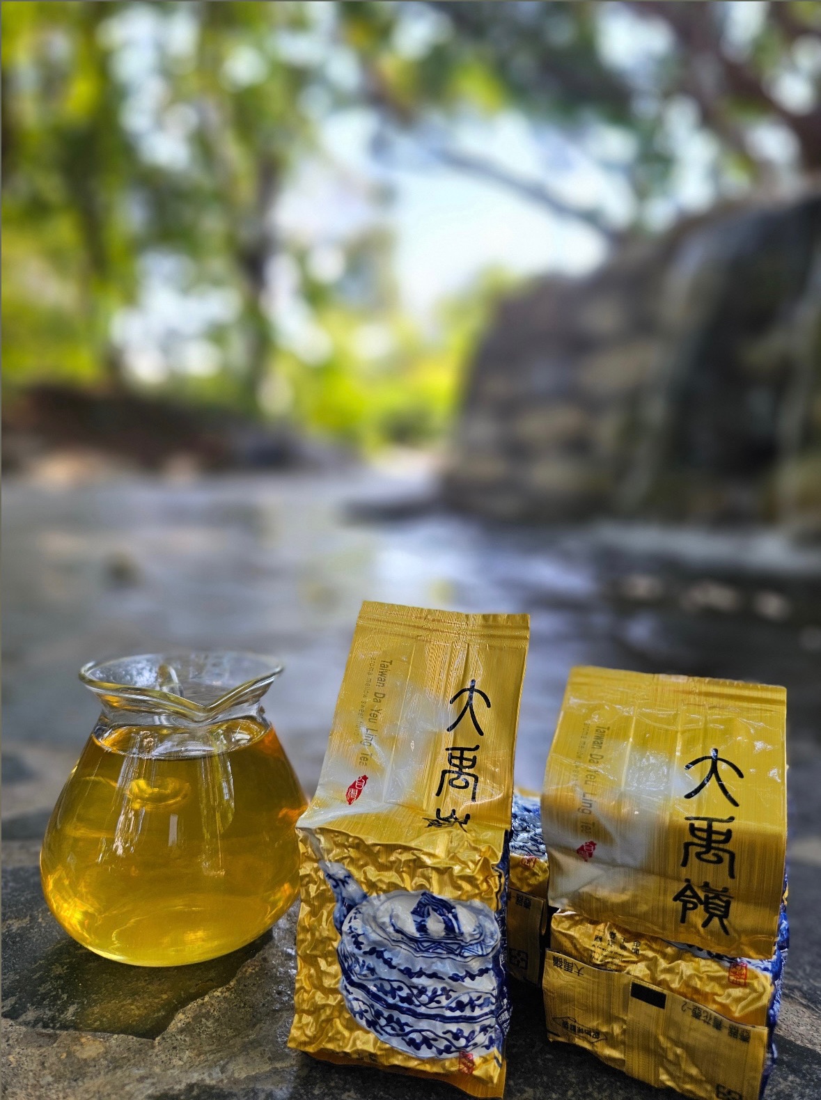 大禹嶺青心烏龍