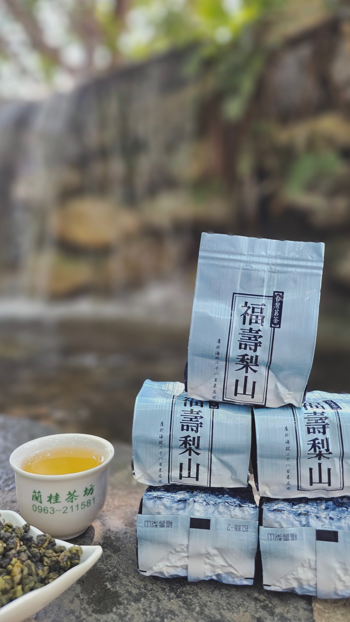 福壽梨山青心烏龍