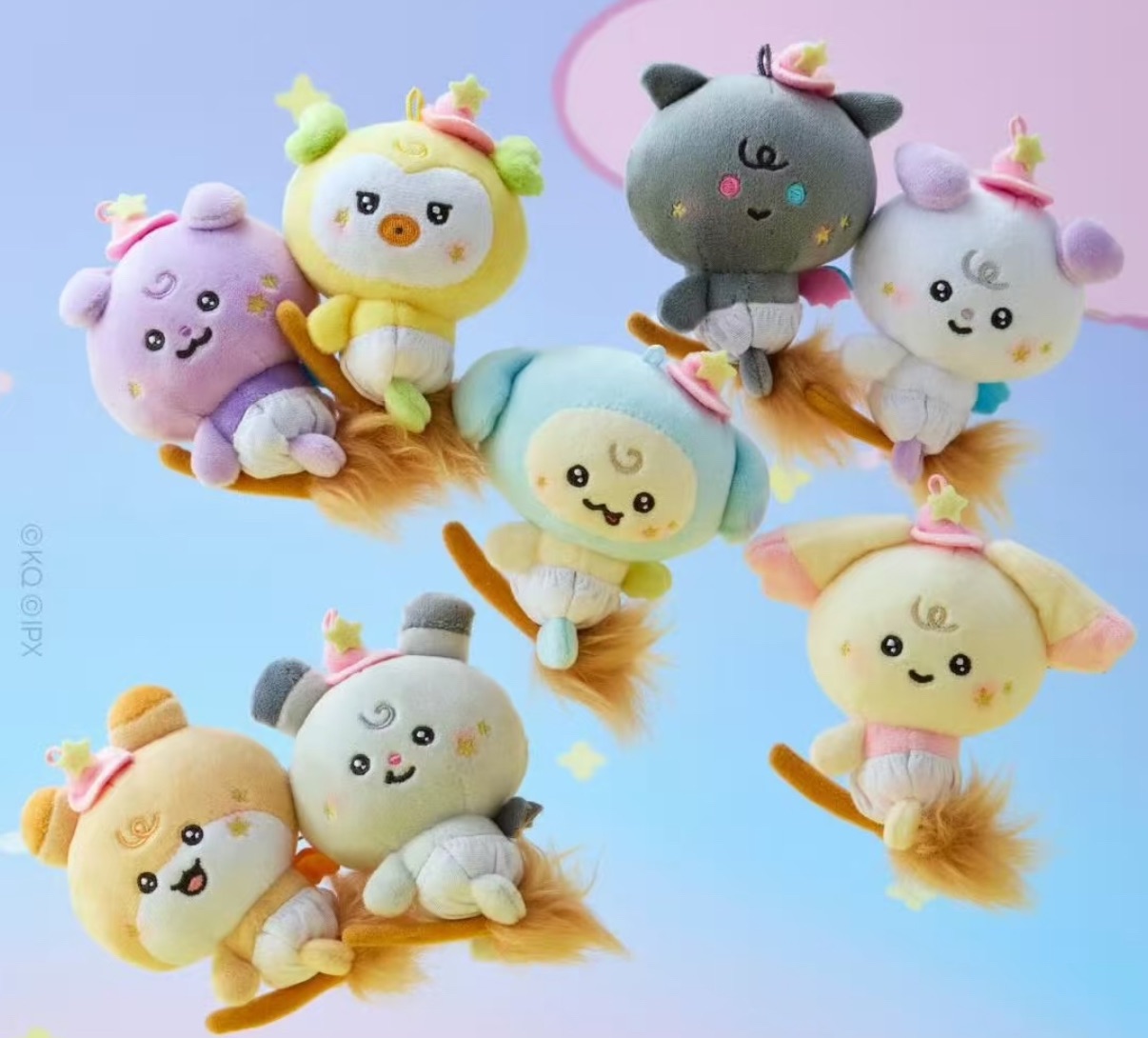 預購Wonder Room POP-UP（1）