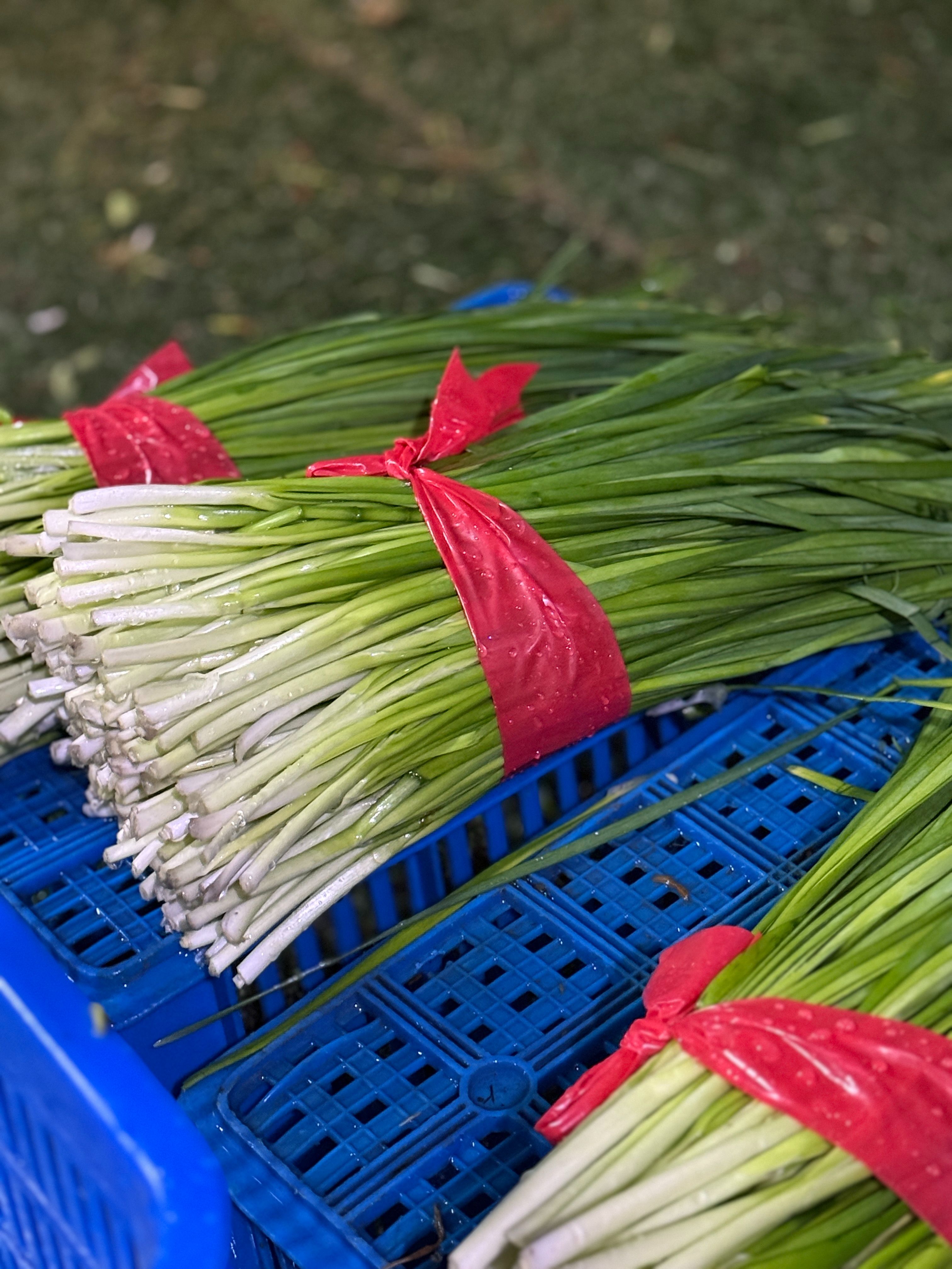 二林韭菜1800g（3斤）裝