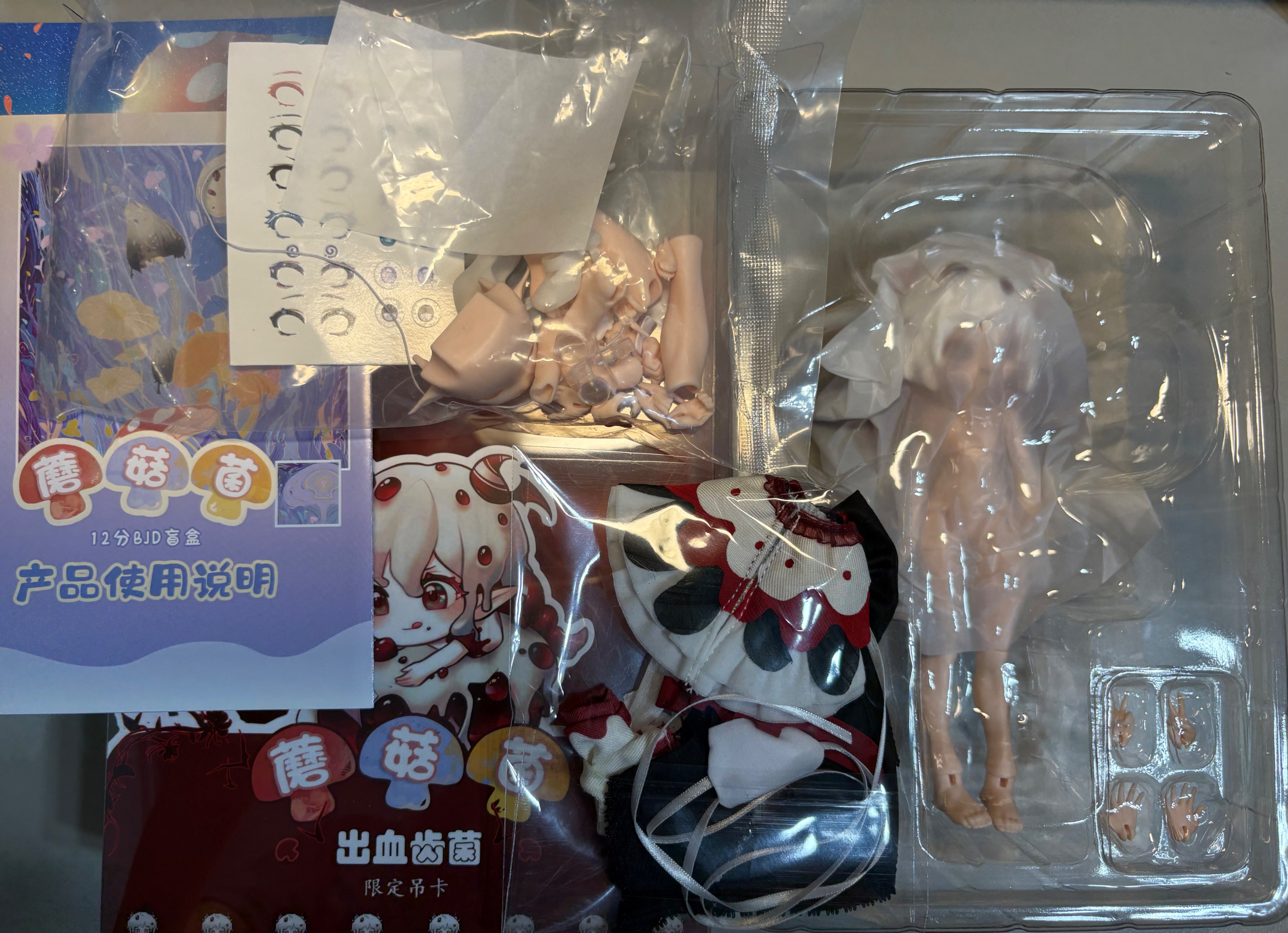 蘑菇菌吊卡-出血齒菌