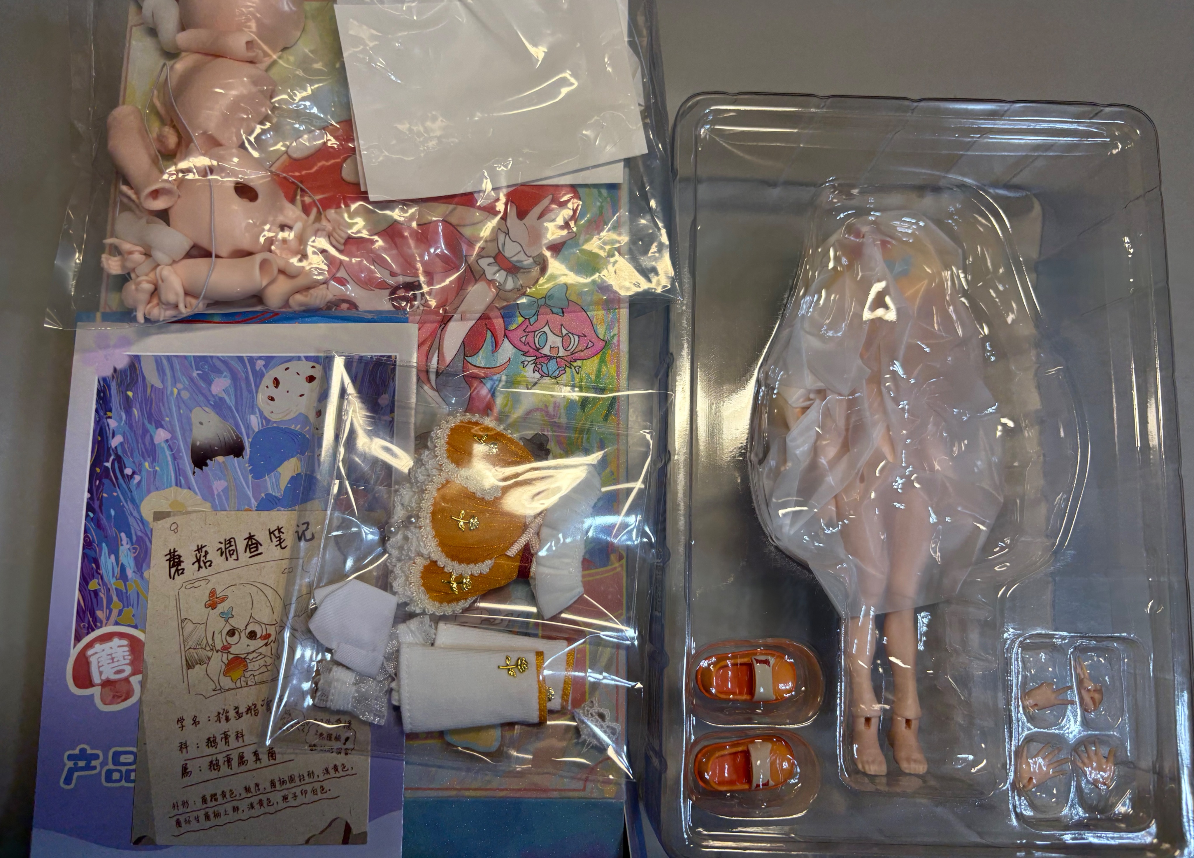 蘑菇菌