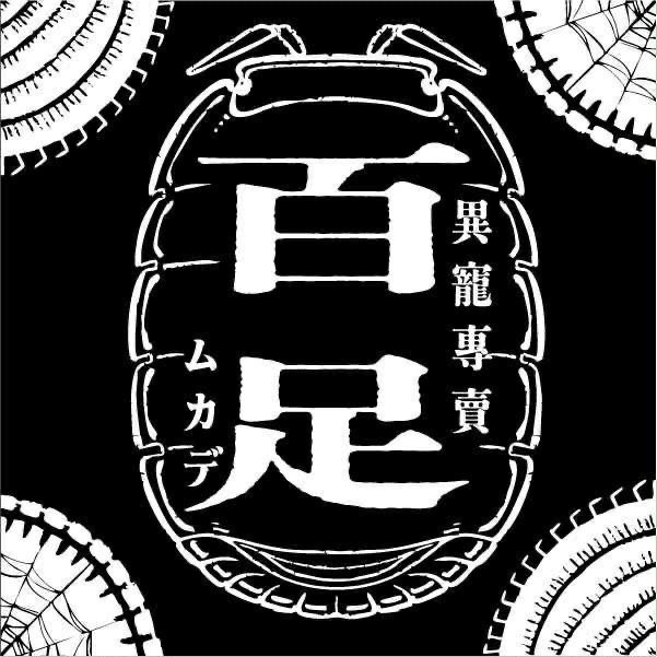 限時新品（售完為止）