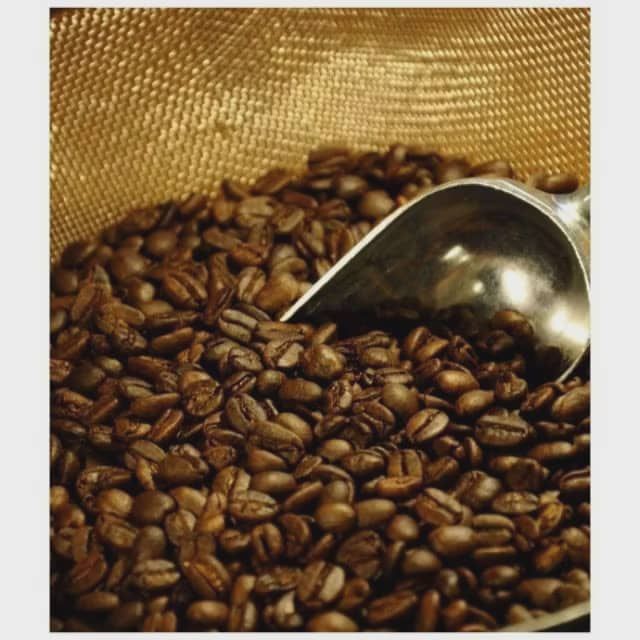 蘇門答臘特級曼特寧 (半磅)