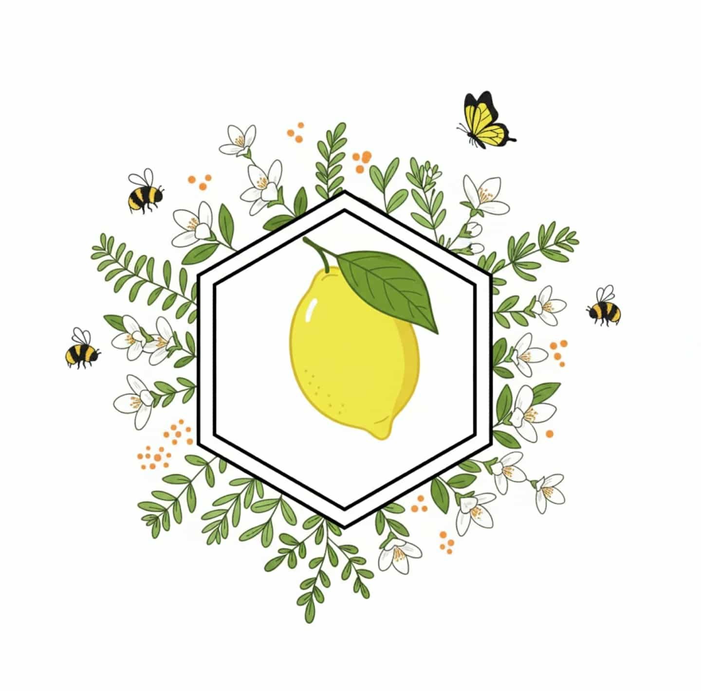 〔淺焙〕衣索比亞 水洗 西達馬 茉莉雅/檸檬花蜜（半磅）