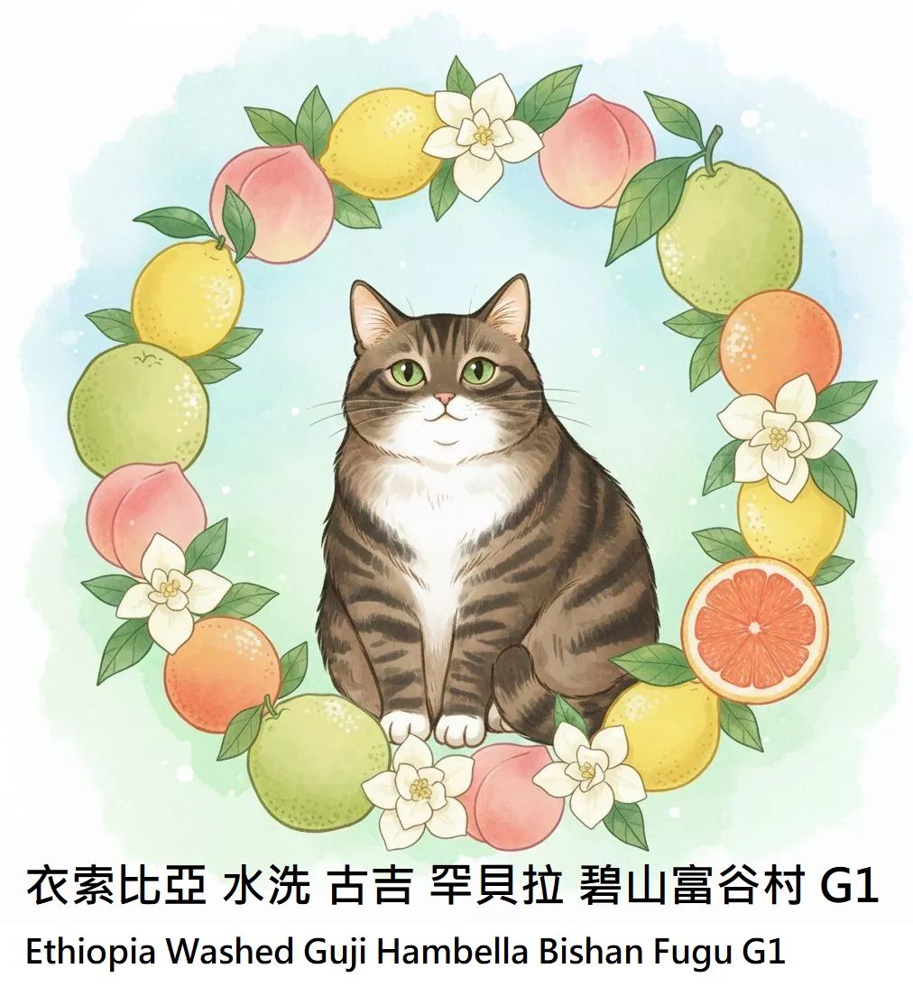 衣索比亞 水洗 古吉 罕貝拉 碧山富谷村