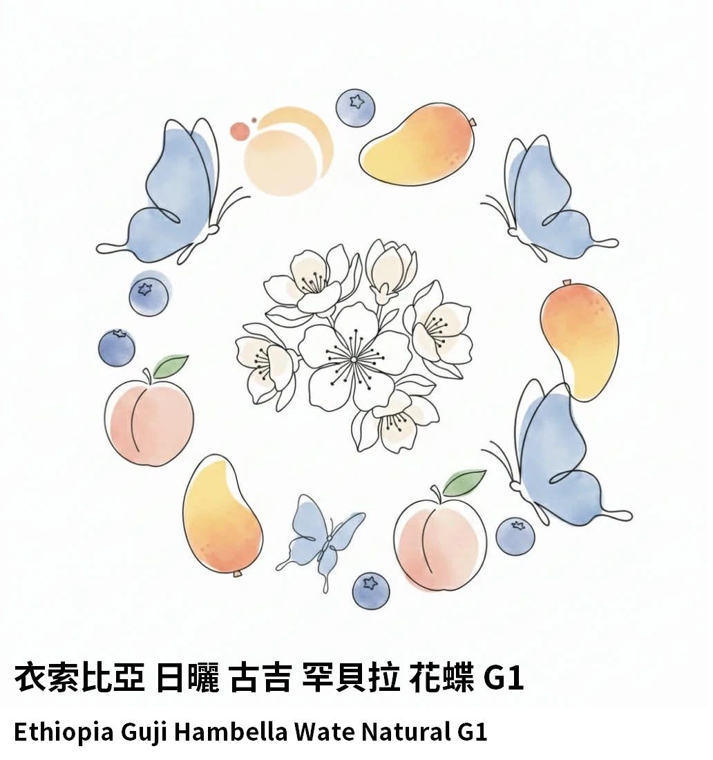 〔淺焙〕衣索比亞 日曬 古吉 罕貝拉 花蝶（半磅）