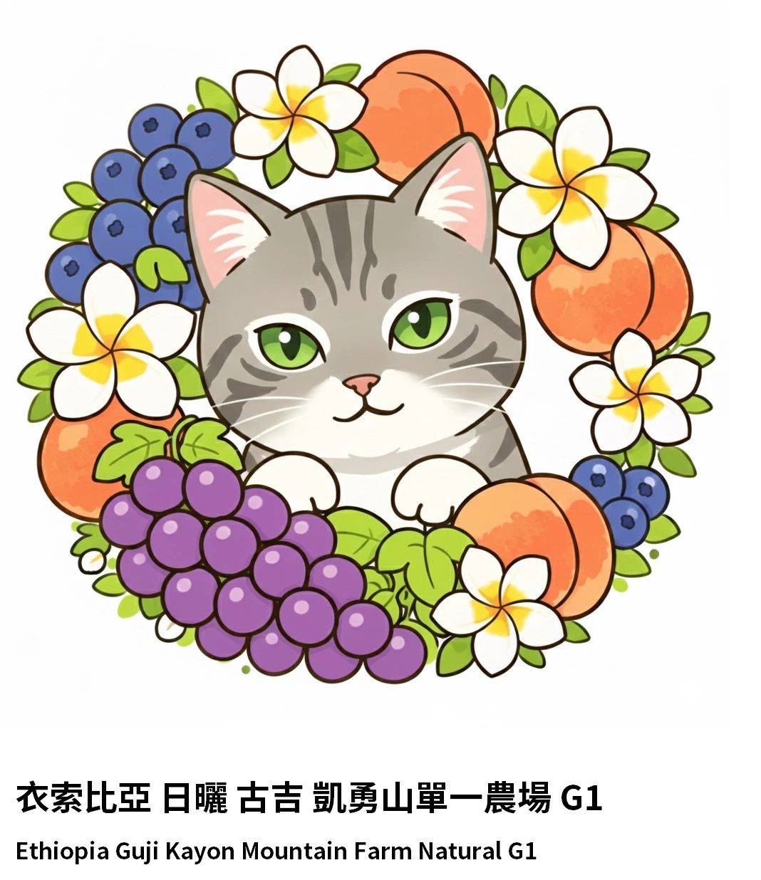 〔淺焙〕衣索比亞 日曬 古吉 凱勇山單一農場（半磅）