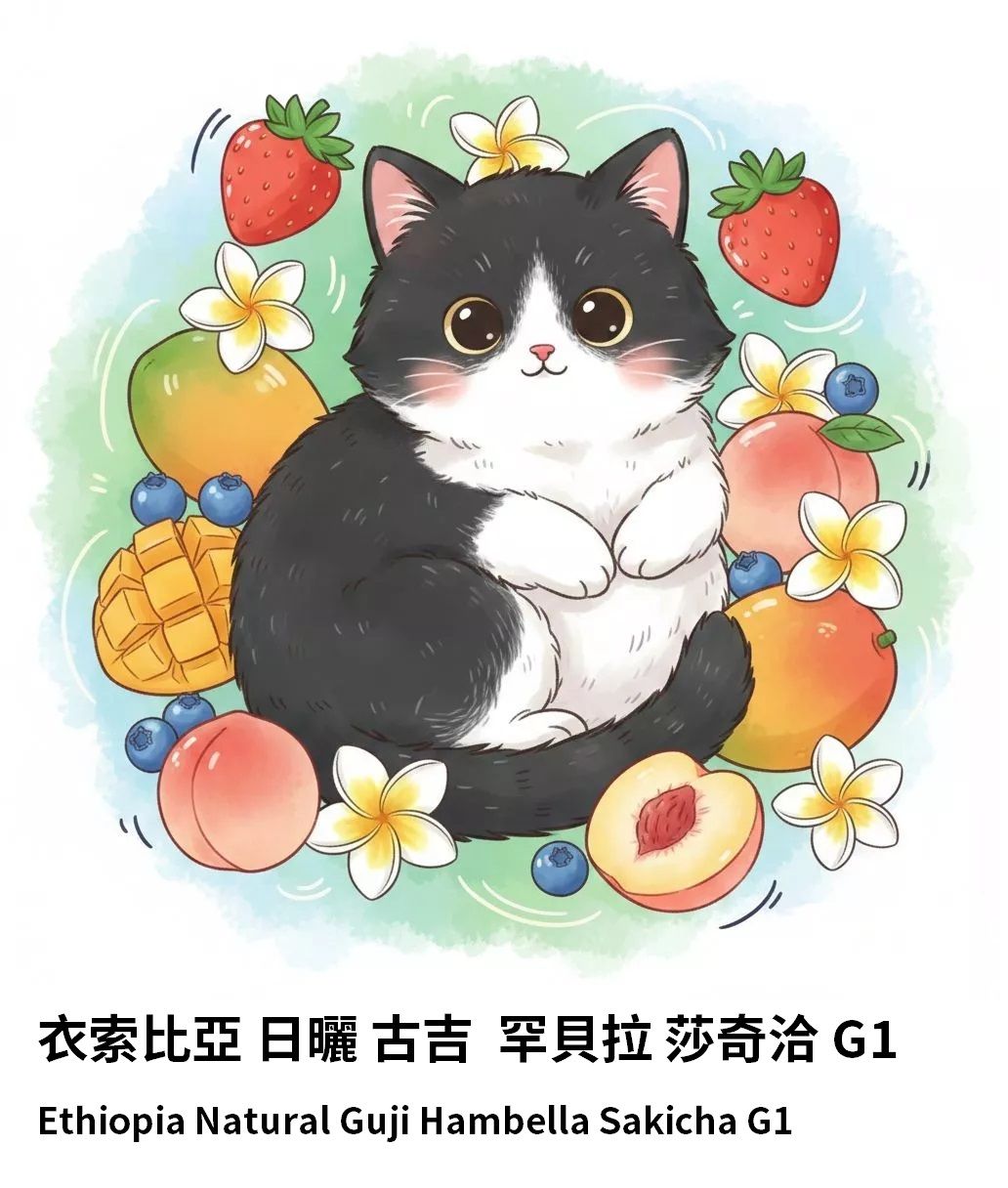 衣索比亞 日曬 古吉  罕貝拉 莎奇洽