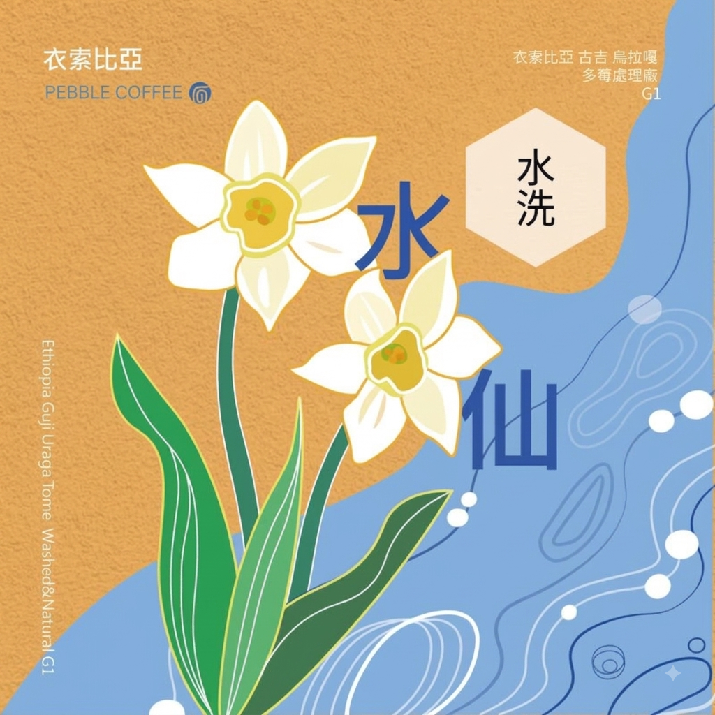 〔淺焙〕水洗衣索比亞 古吉 烏拉嘎 提波波卡  水仙（半磅）