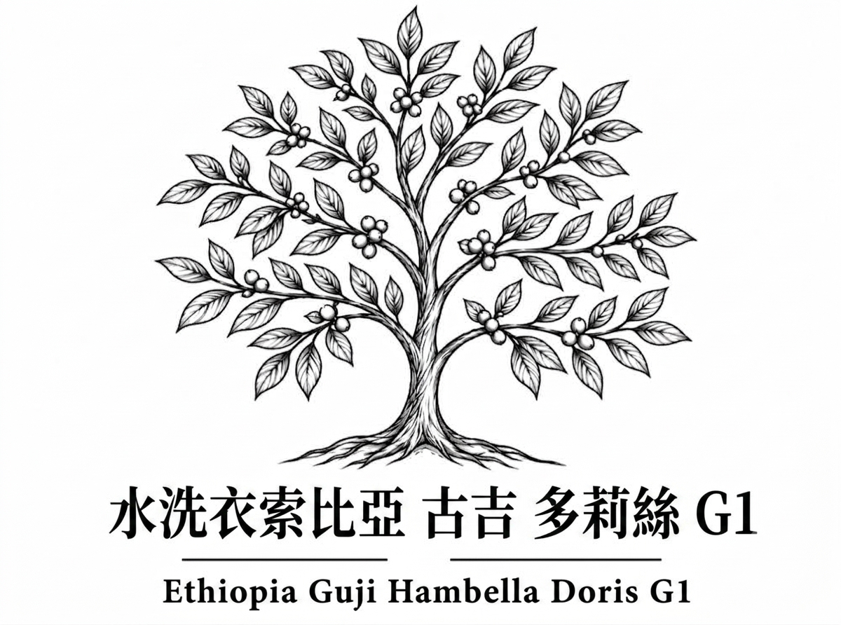 〔淺焙〕水洗衣索比亞 古吉 多莉絲 G1（半磅）