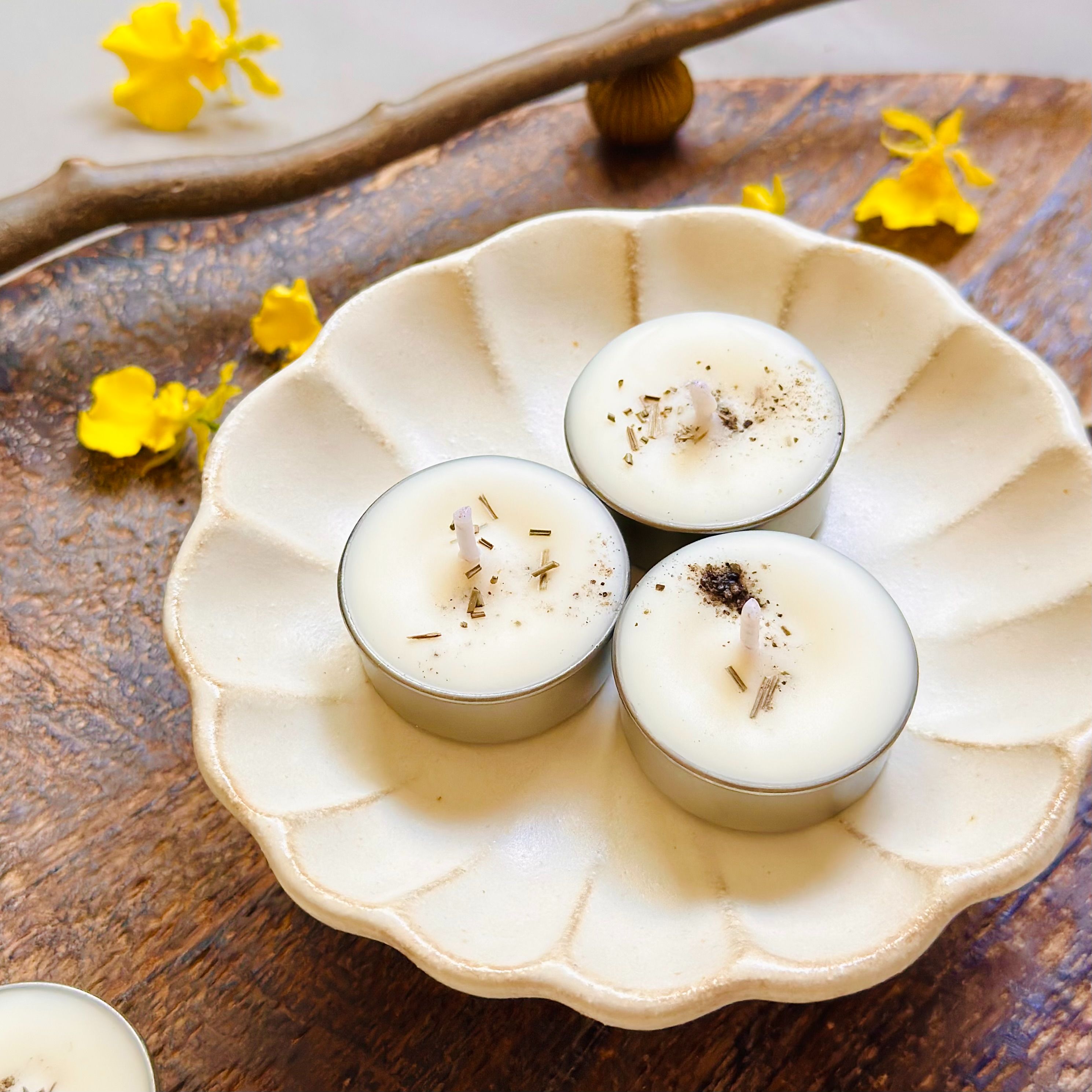 【藥草燭】 #𝟑𝟑・隱沒之日