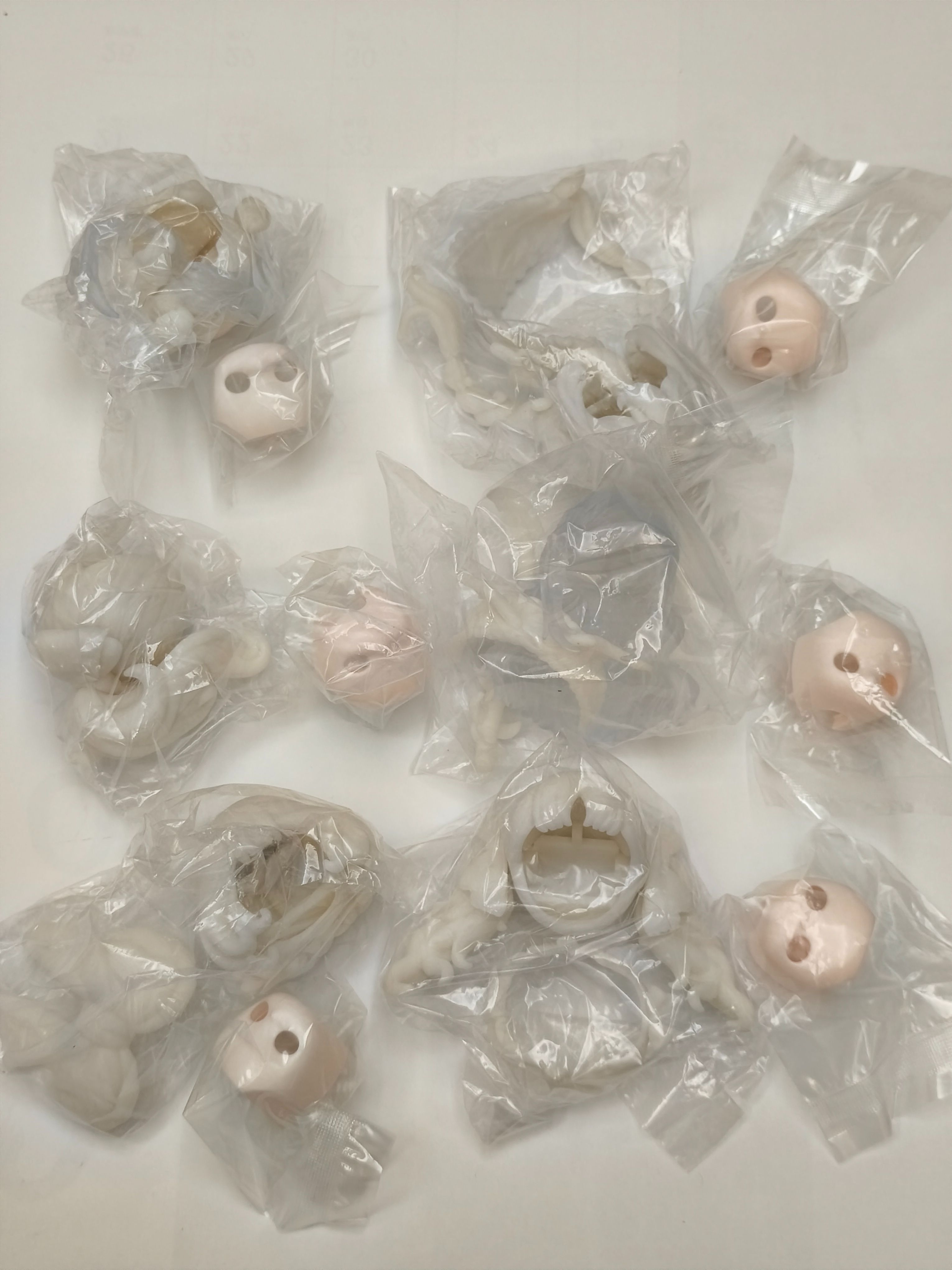 露露靈-白膜頭（隨機出貨）