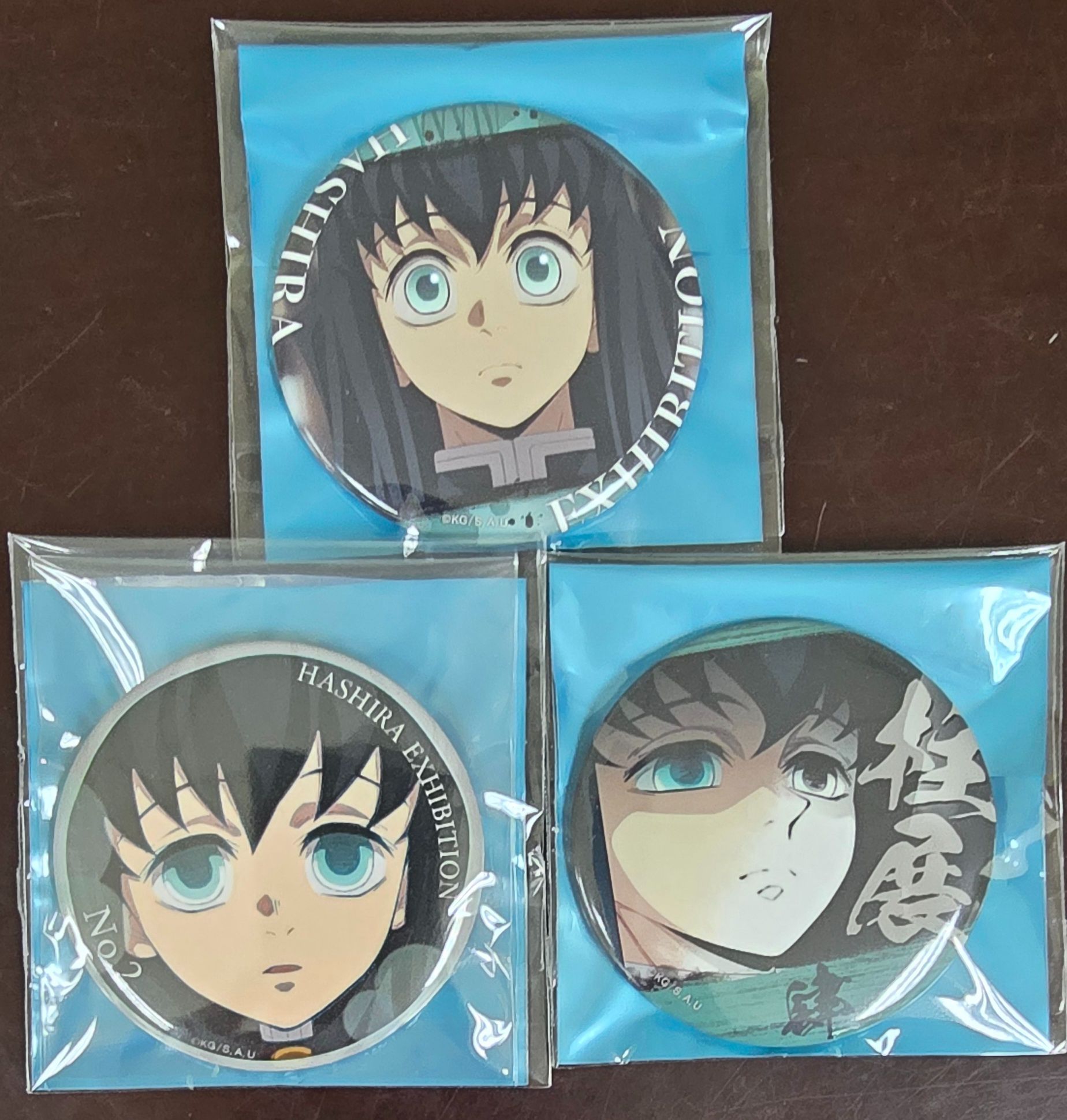 時透柱展百景圓徽