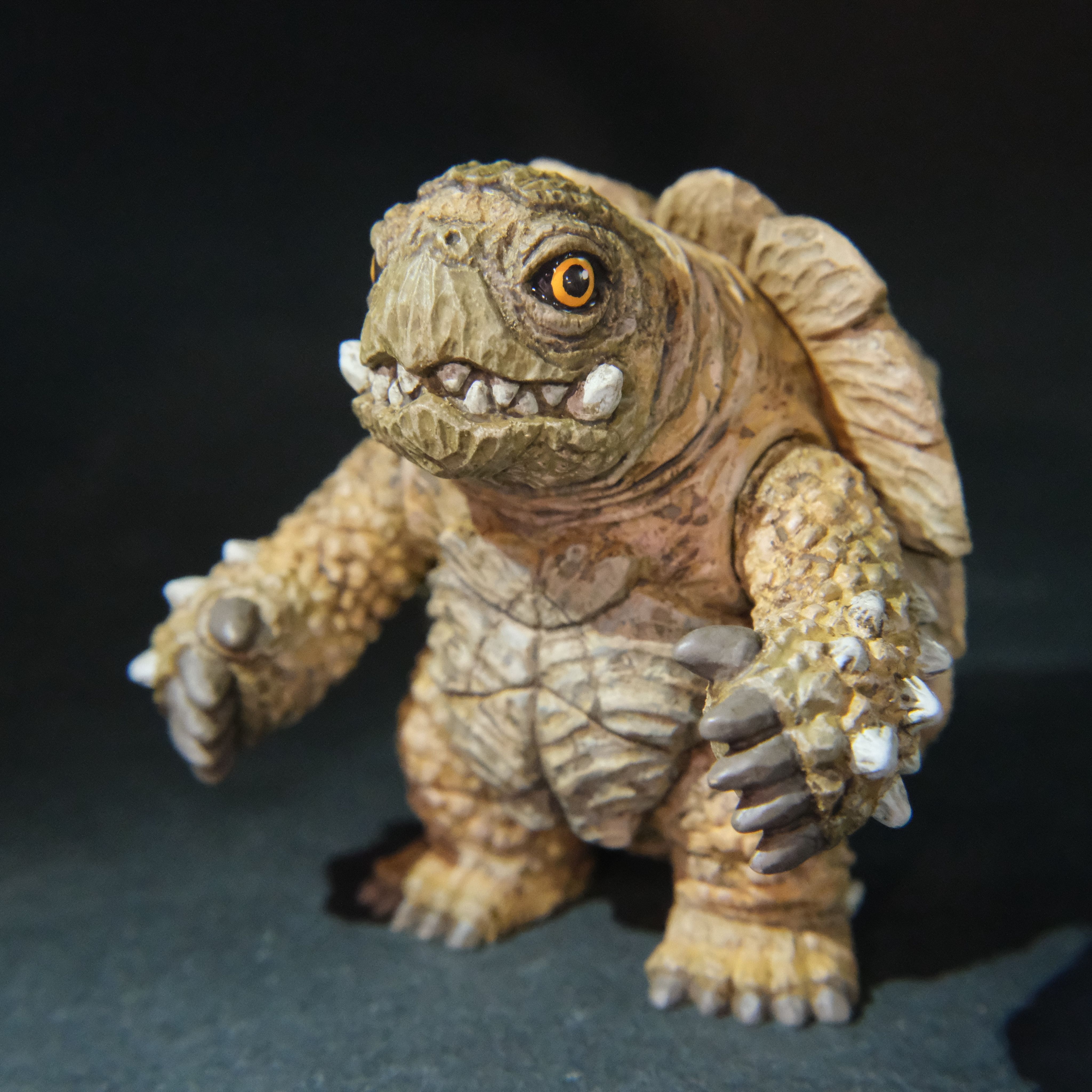 異種刺龜-蘇卡達配色