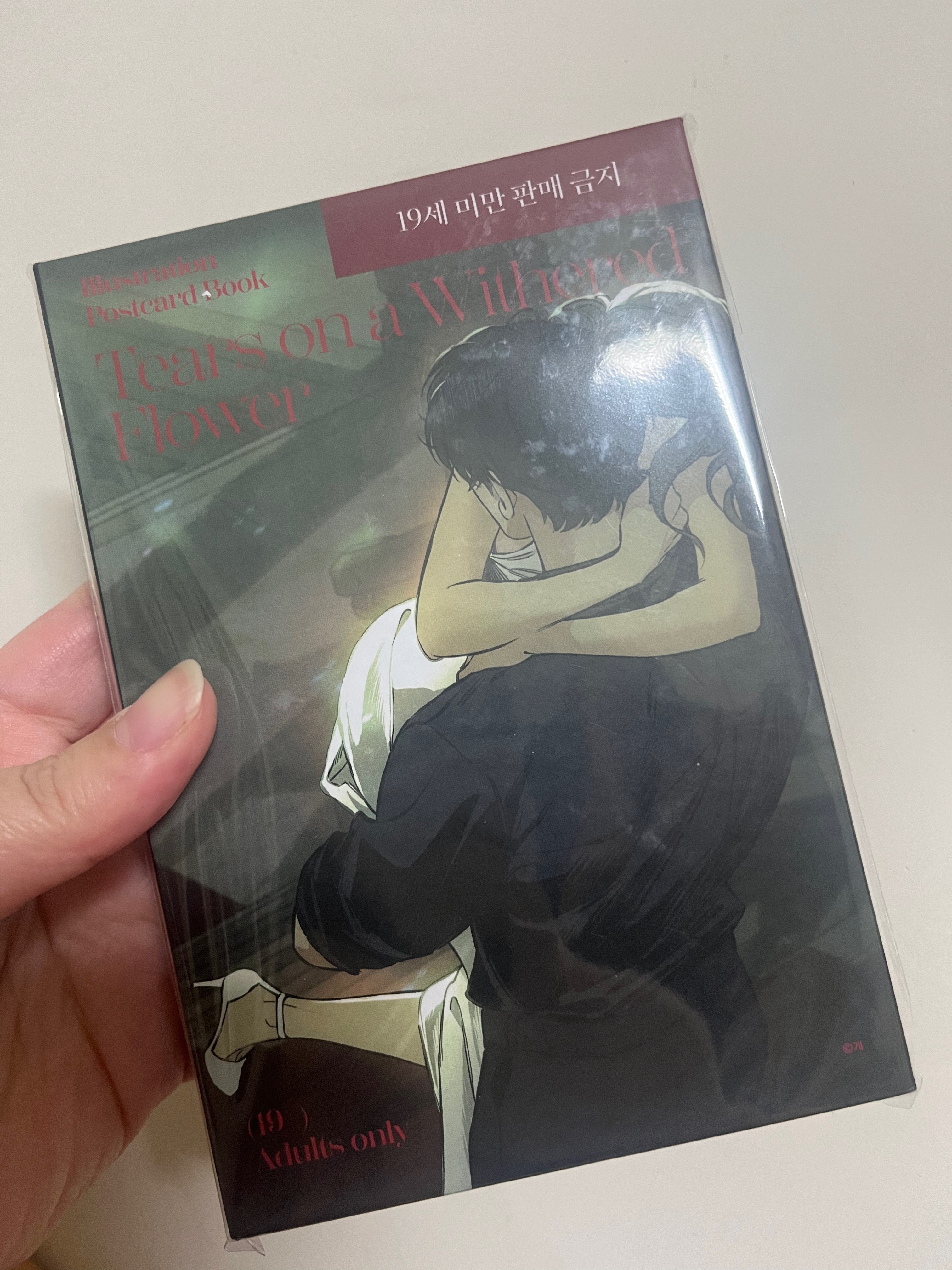 青梅花淚快閃 現貨