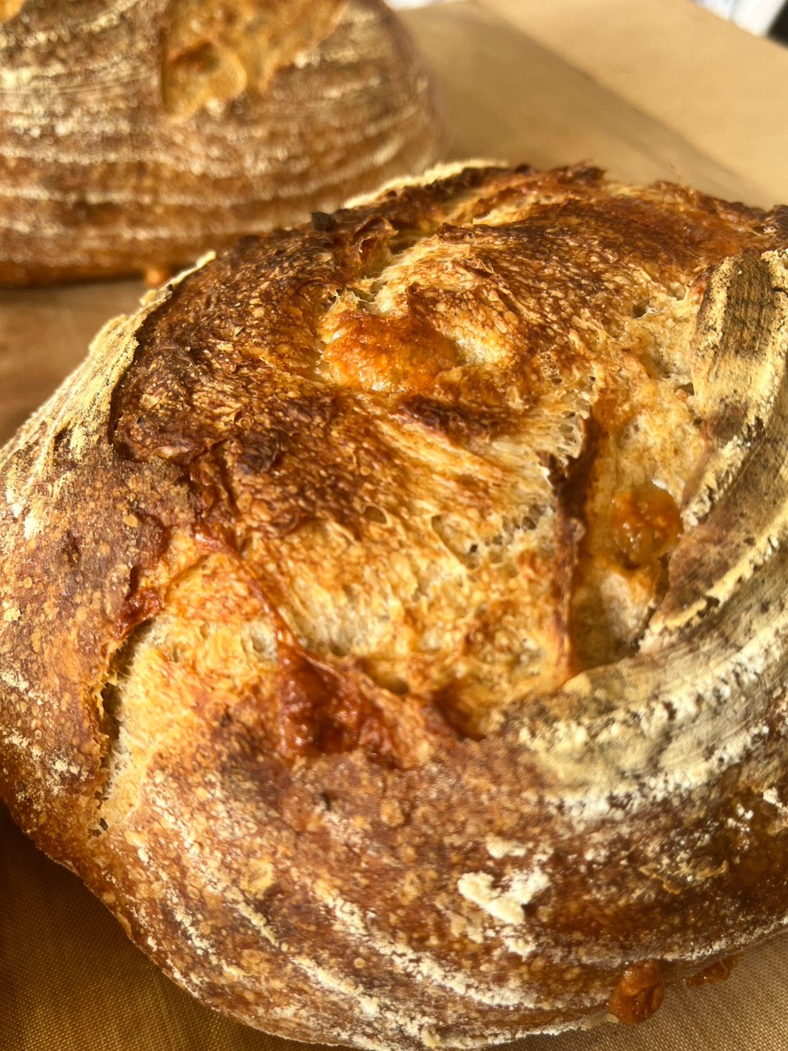 18M P.D.O 帕瑪森辣椒 10%裸麥