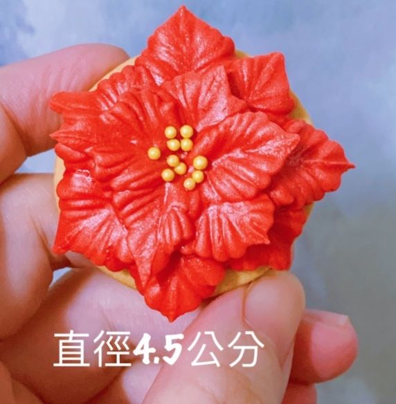 聖誕紅（直徑4.5公分）（下單請備註出貨日未指定則統一12/20出貨）