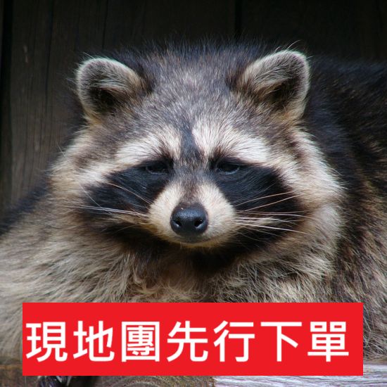 預先下單【沒有帳號請往下拉，無問題下單後不用回報，請勿留言在備註】