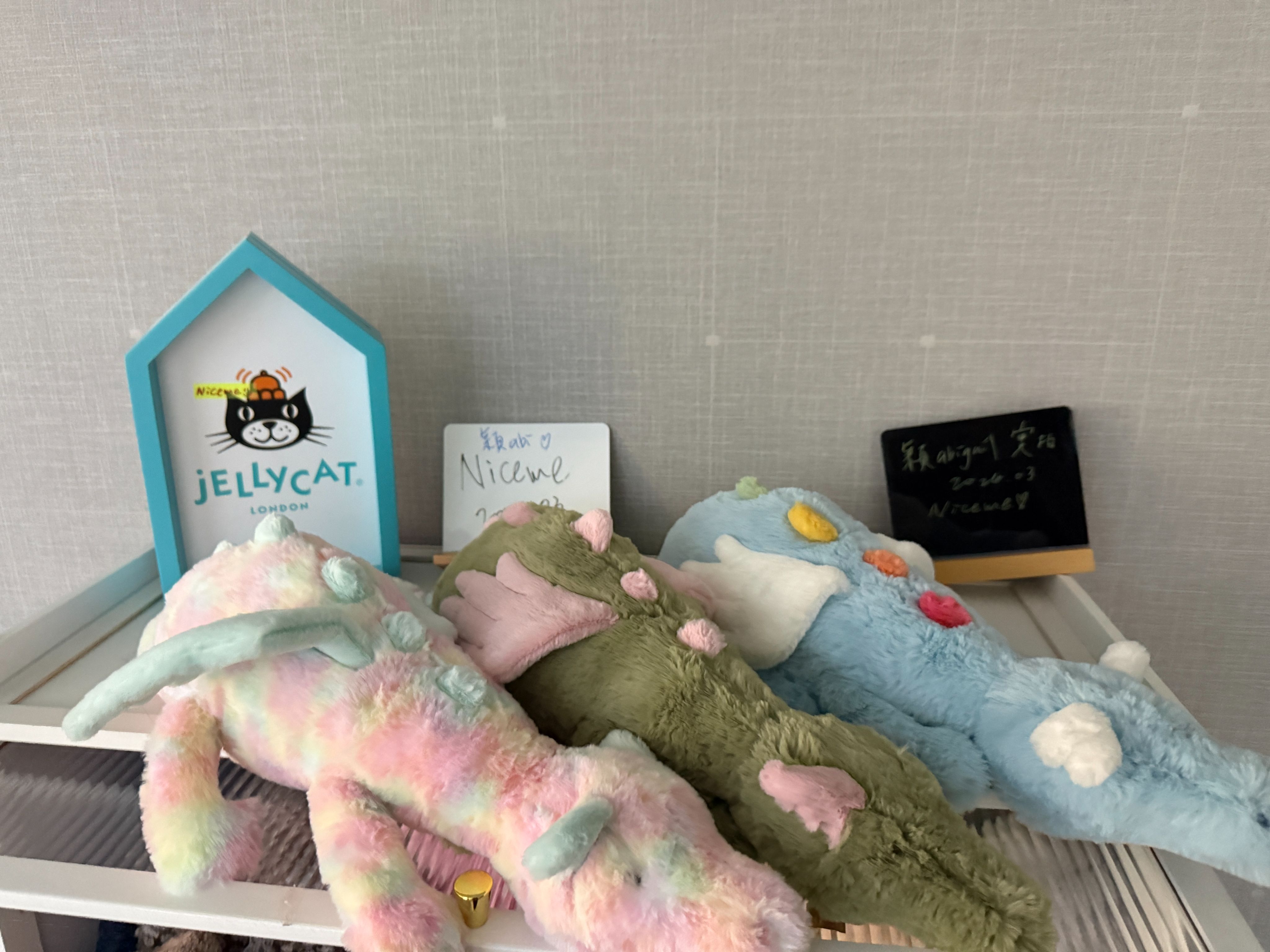 FY會飛的動物們