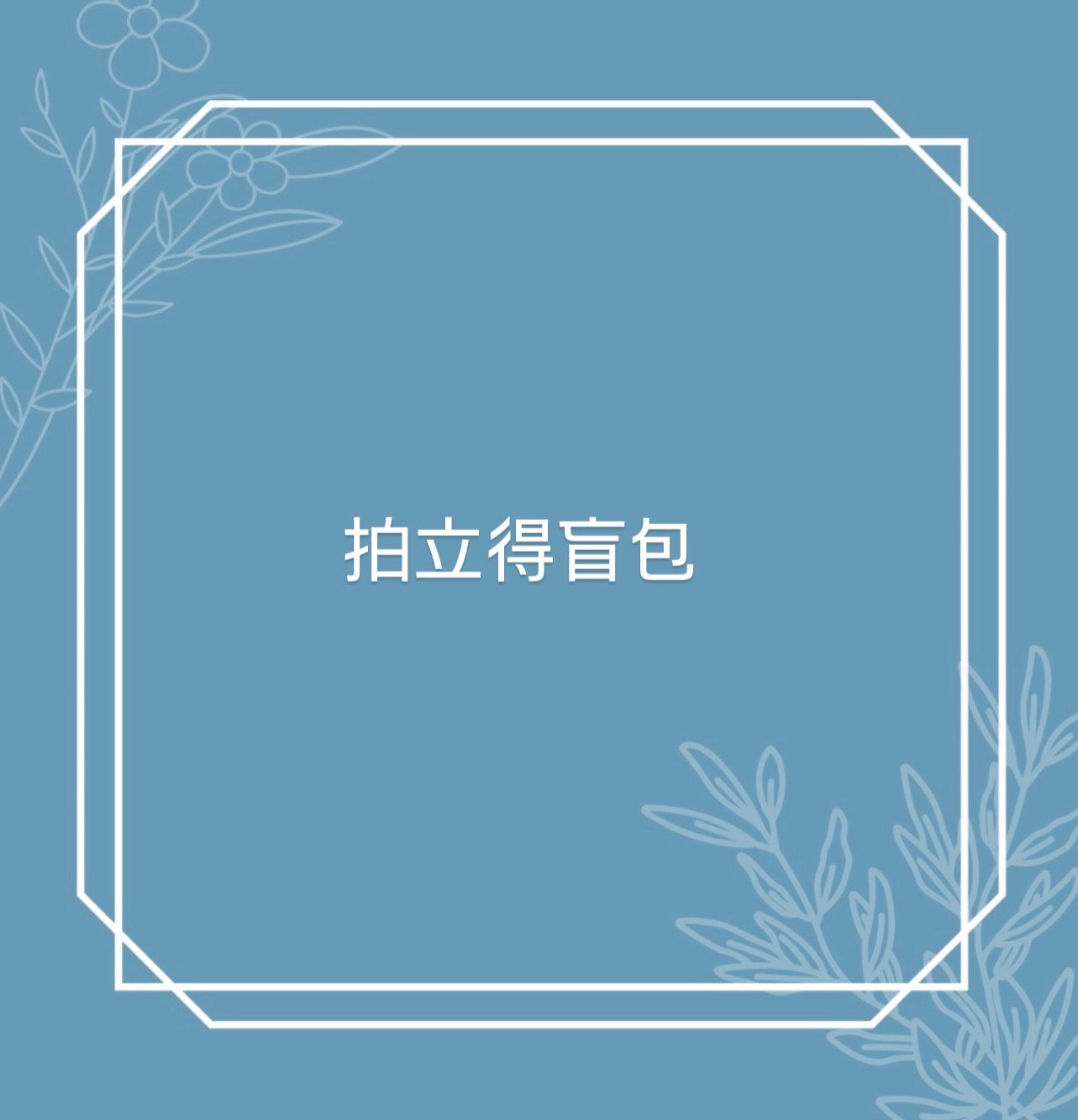 拍立得盲包