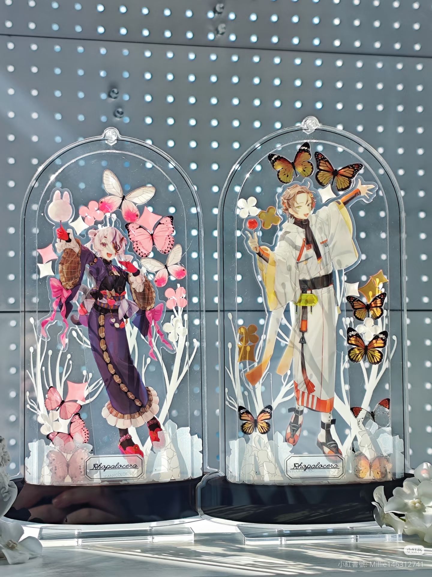 【米粒兔的百寶箱】蝴蝶標本壓克力框