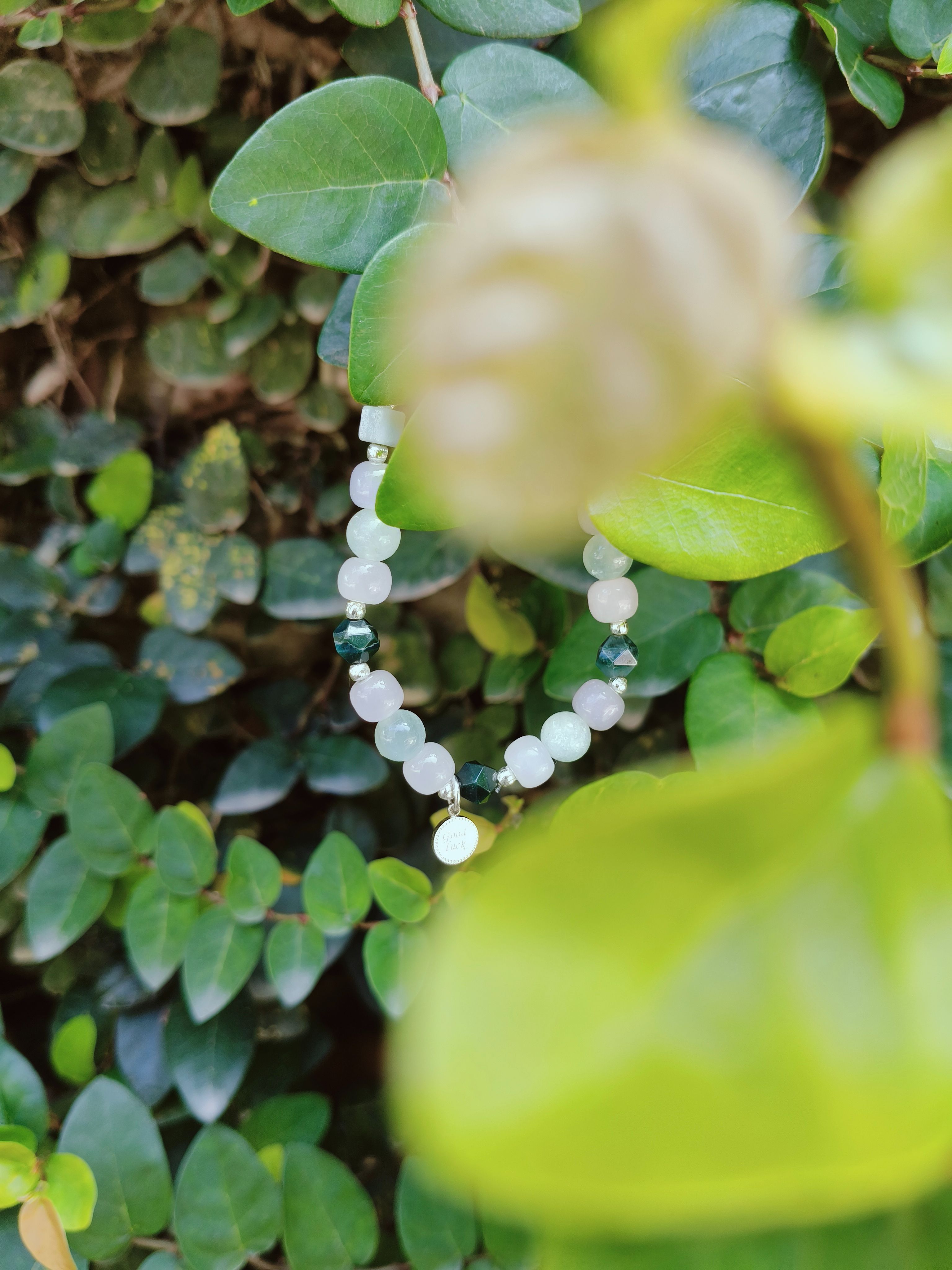 No.67 植物萃取