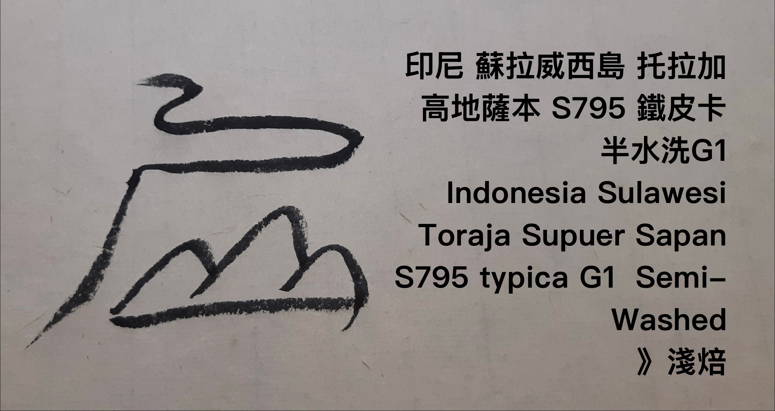 印尼 蘇拉威西島 托拉加高地薩本 S795 鐵皮卡 半水洗G1