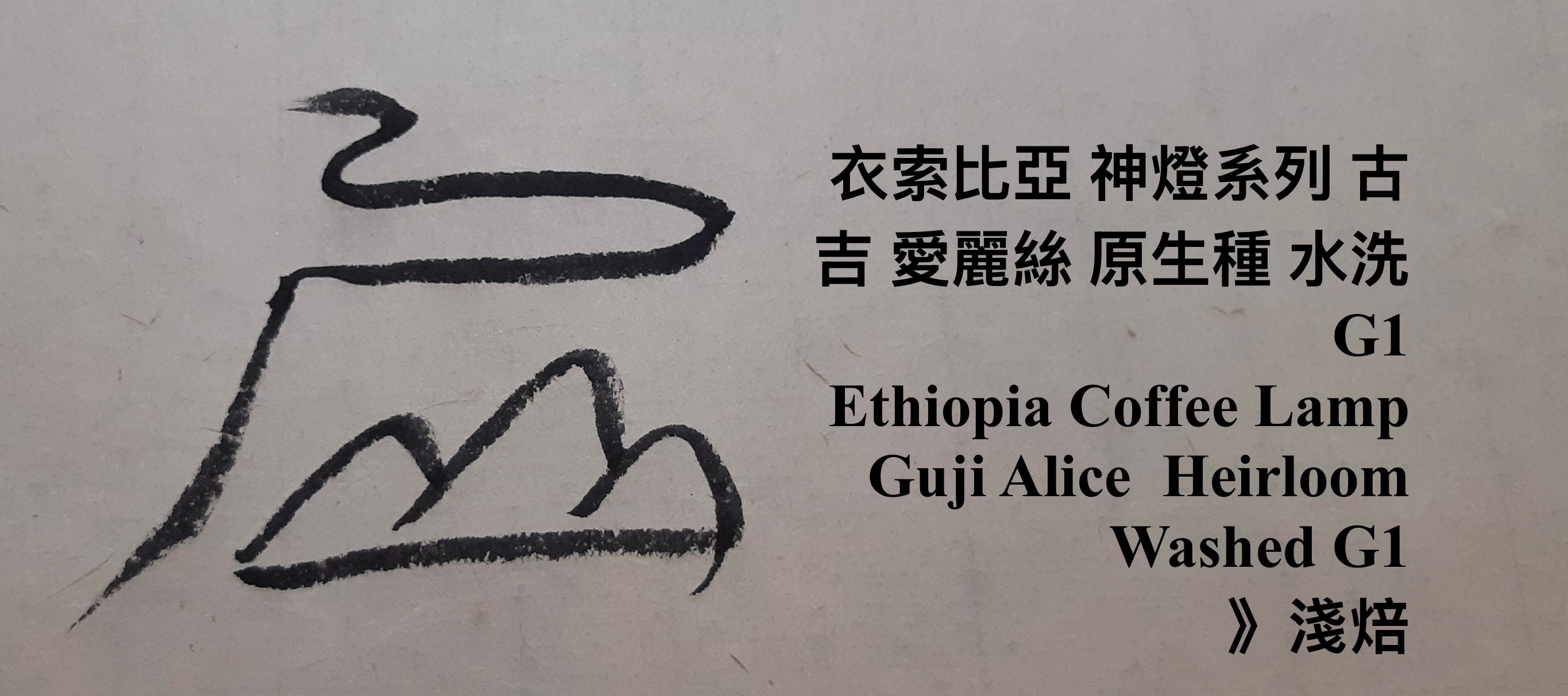衣索比亞 神燈系列 古吉 愛麗絲 原生種 水洗 G1