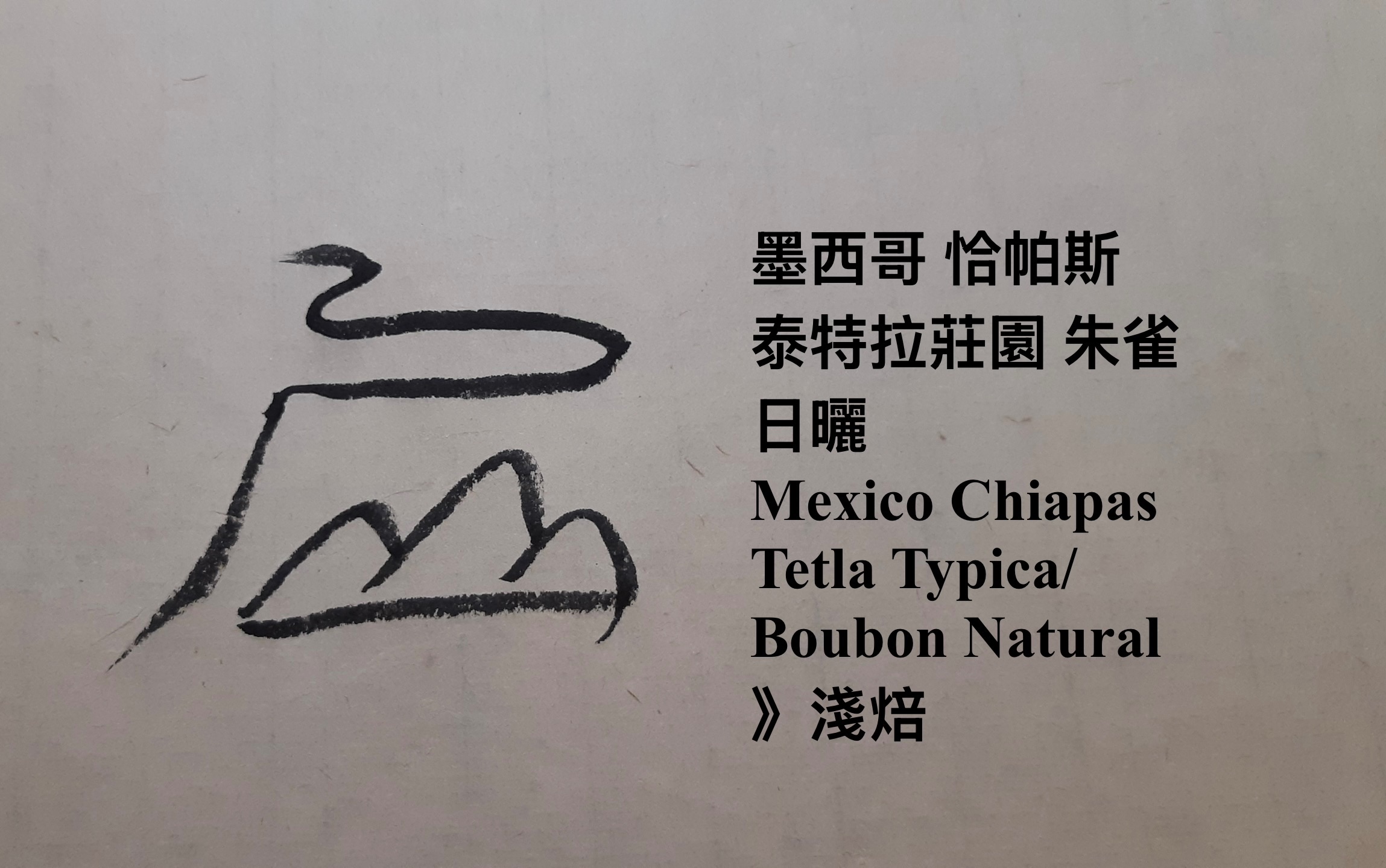 墨西哥 恰帕斯 泰特拉莊園 朱雀 日曬