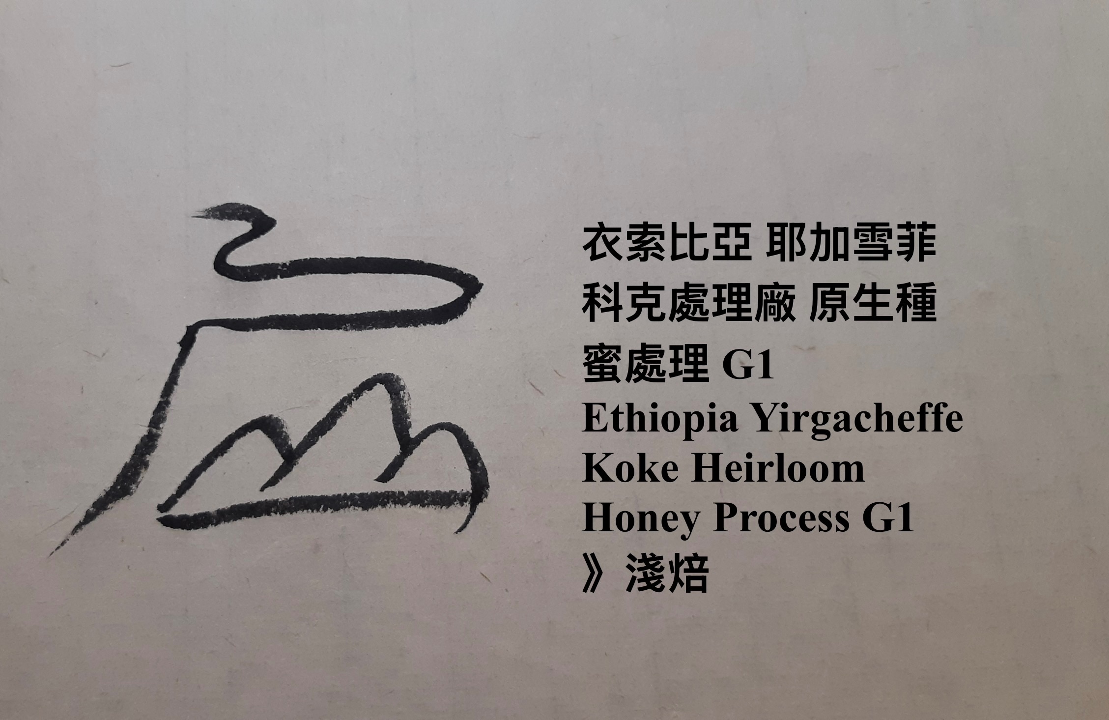 衣索比亞 耶加雪菲 科克處理廠 原生種 蜜處理 G1