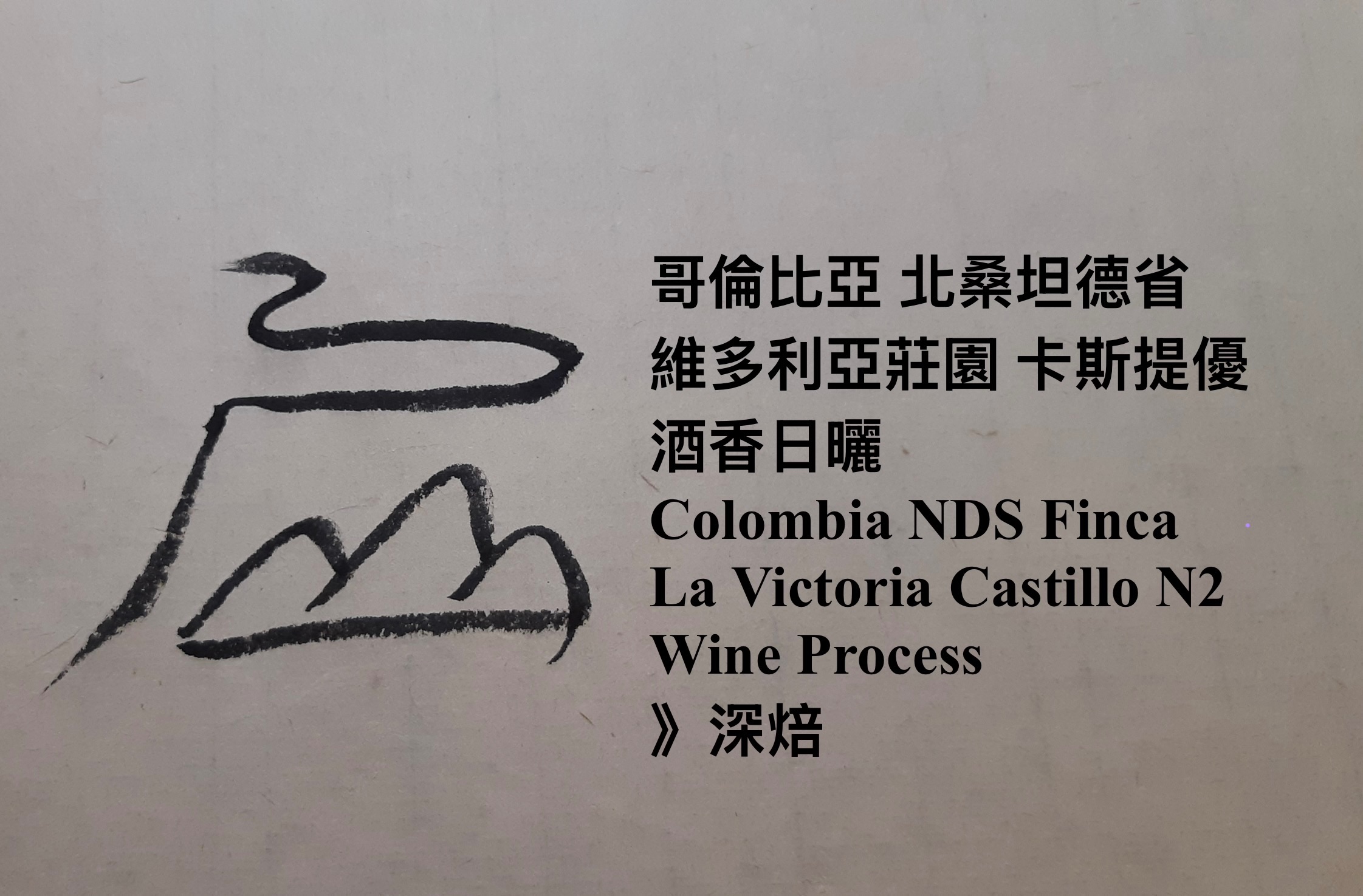 哥倫比亞 北桑坦德省 維多利亞莊園 卡斯提優 酒香日曬
