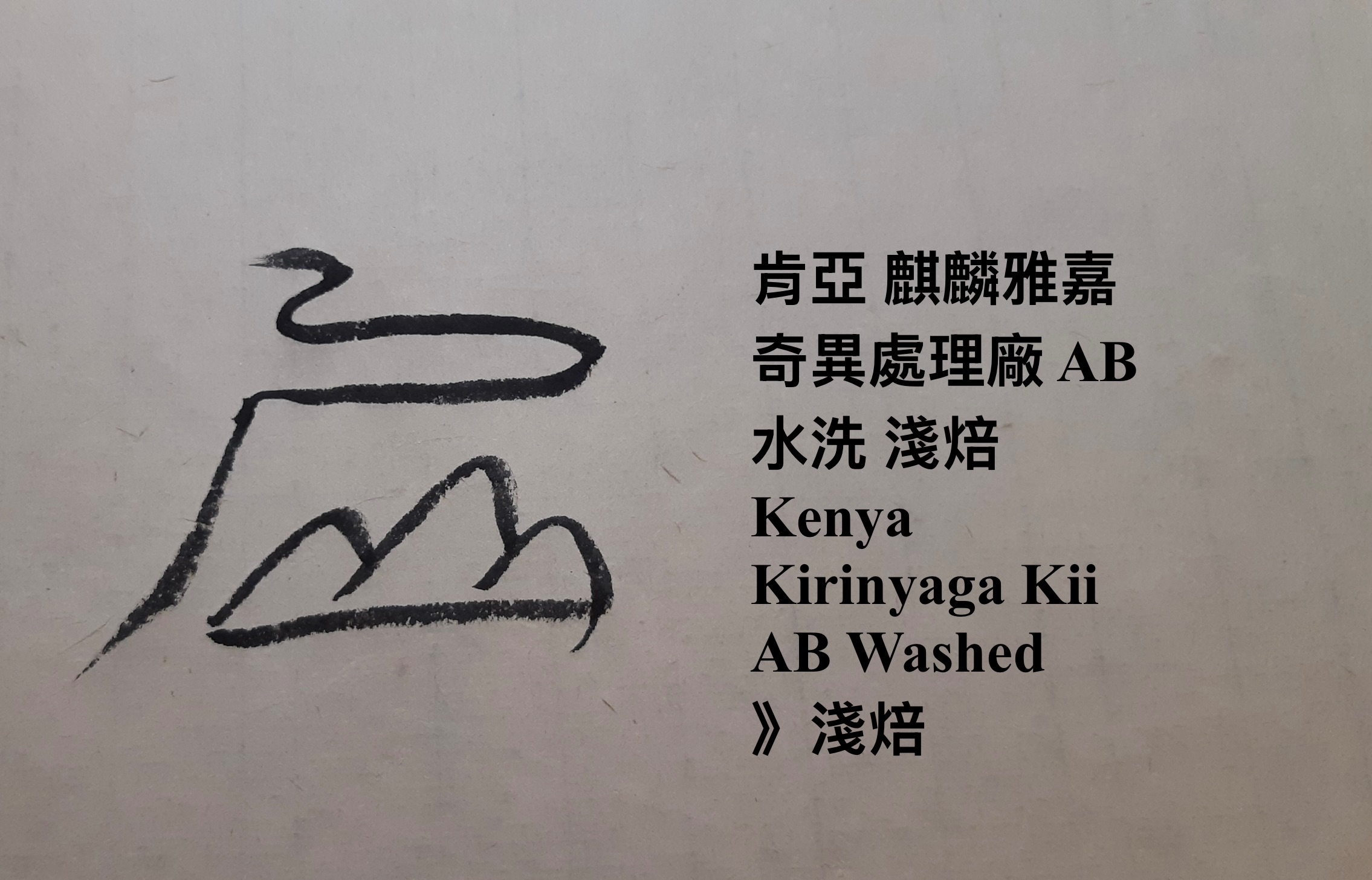 肯亞 麒麟雅嘉 奇異處理廠 AB 水洗 淺焙