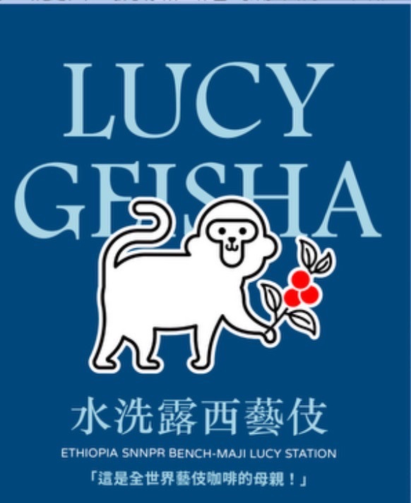 衣索比亞 班奇馬吉 露西處理站 TOP G1 藝伎