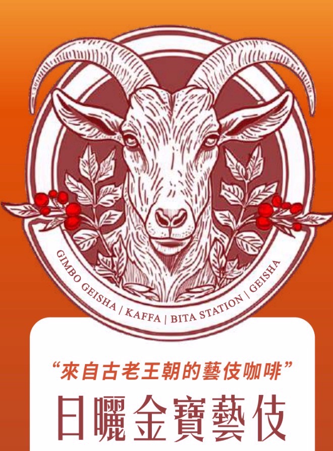 衣索比亞 卡法金寶 碧塔處理站 藝伎 日曬 TOP G1
