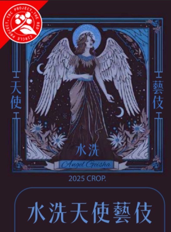 衣索比亞 耶加雪菲 果丁丁 天使藝伎 TOP G1 水洗