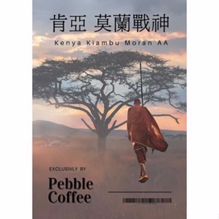 肯亞 AA 墨蘭戰神 水洗
