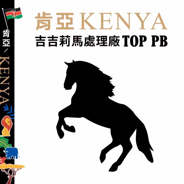 肯亞 TOP PB 麒麟雅加 吉吉莉馬處理廠 水洗