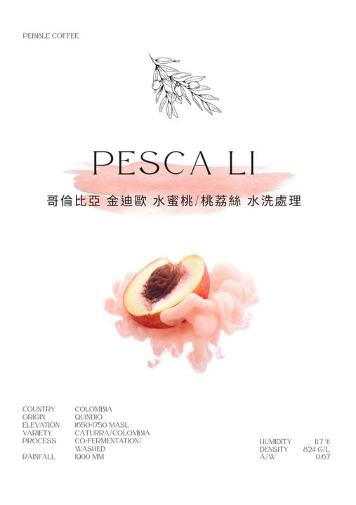 哥倫比亞 金迪歐 水蜜桃 桃莉絲 水洗