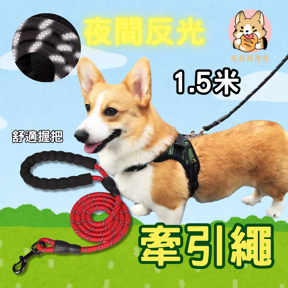 【🔥夜間反光】狗牽繩 加粗寵物牽引繩 防暴衝寵物牽繩 牽引繩 狗繩 牽繩線 牽狗繩外出繩子 溜狗繩遛狗帶 狗狗牽引