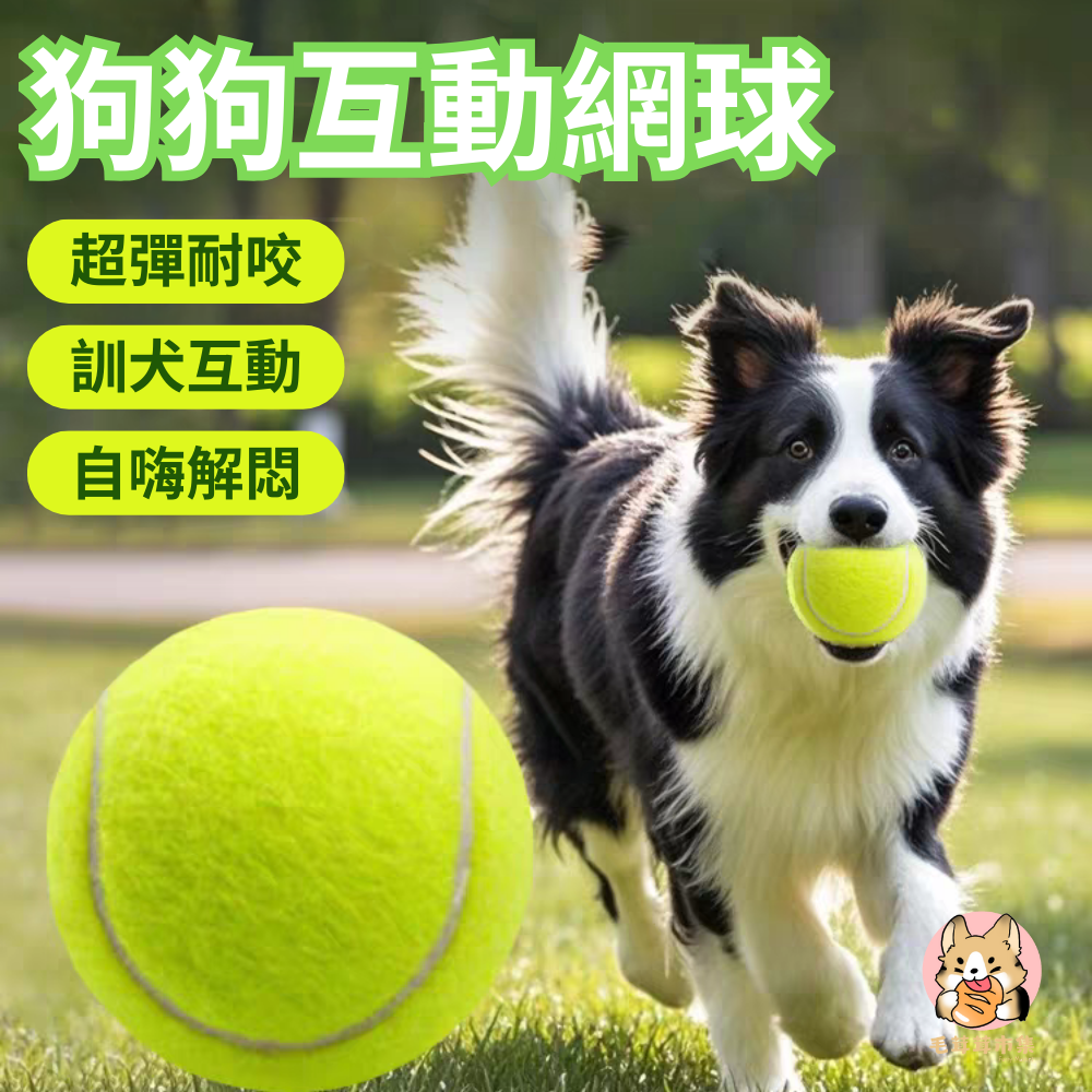 網球 寵物網球 練習網球 狗狗網球 寵物玩具 寵物玩具球 寵物耐咬球