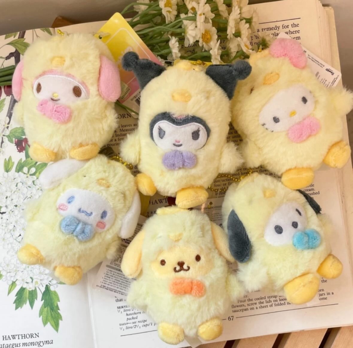 🇰🇷韓國限定小雞系列吊飾娃🐣（下單後1～2週抵台）