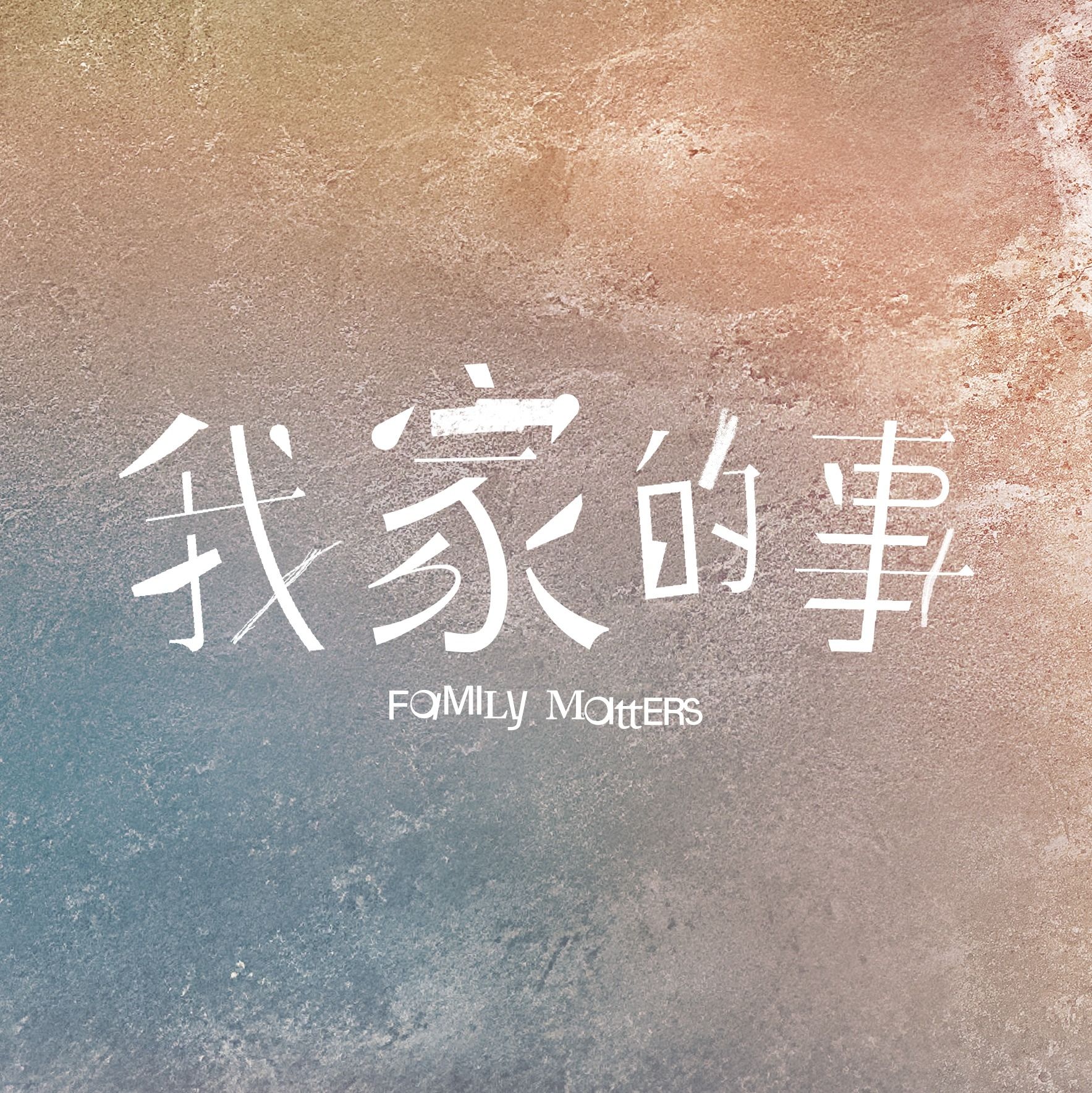 《我家的事》電影T