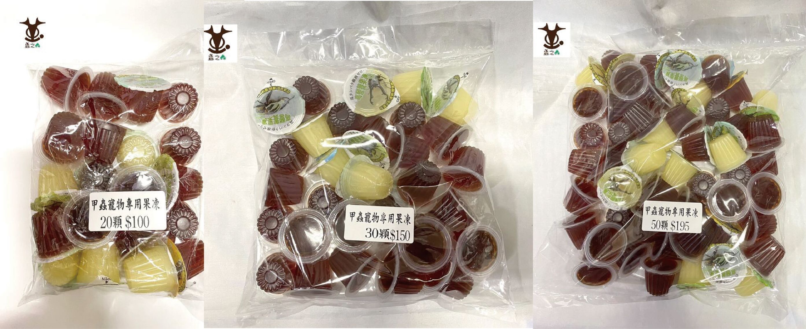 【蟲之森 甲蟲】蜜袋鼯．寵物 甲蟲果凍50顆、30顆、20顆