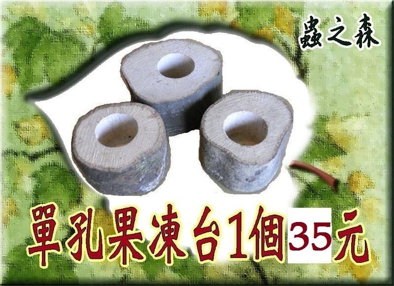 【蟲之森 甲蟲】《單孔-果凍台》~（昆蟲與小動物們食物的家哦! ） $35