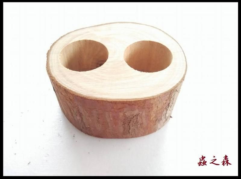 【蟲之森 甲蟲】《雙孔-果凍台》~（昆蟲與小動物們食物的家哦!） $50