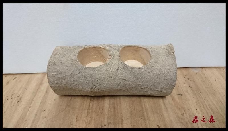 【蟲之森 甲蟲】《橫木型-雙孔果凍台》~（昆蟲與小動物們食物的家哦!） $50