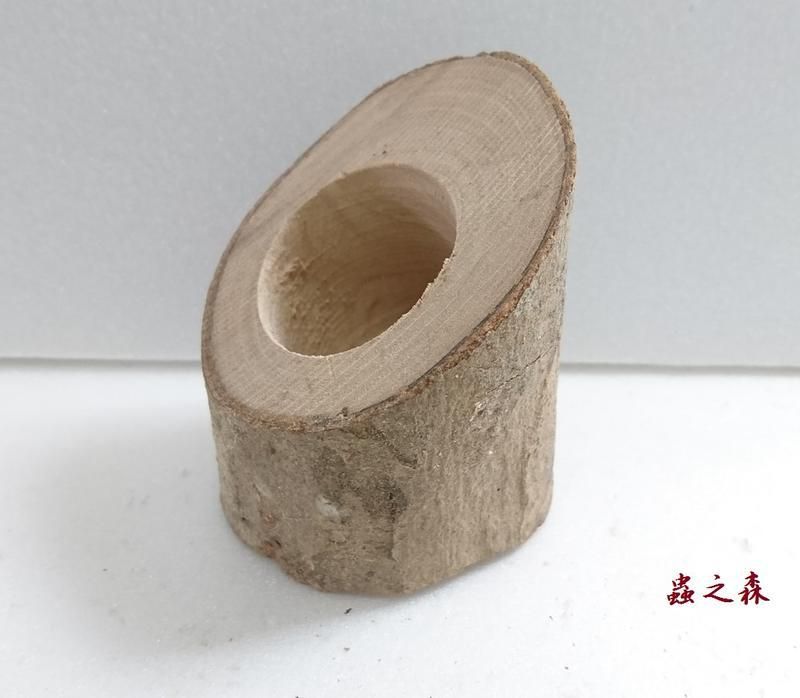 【蟲之森 甲蟲】《斜木型-單孔果凍台》~（昆蟲與小動物們食物的家哦!） $39