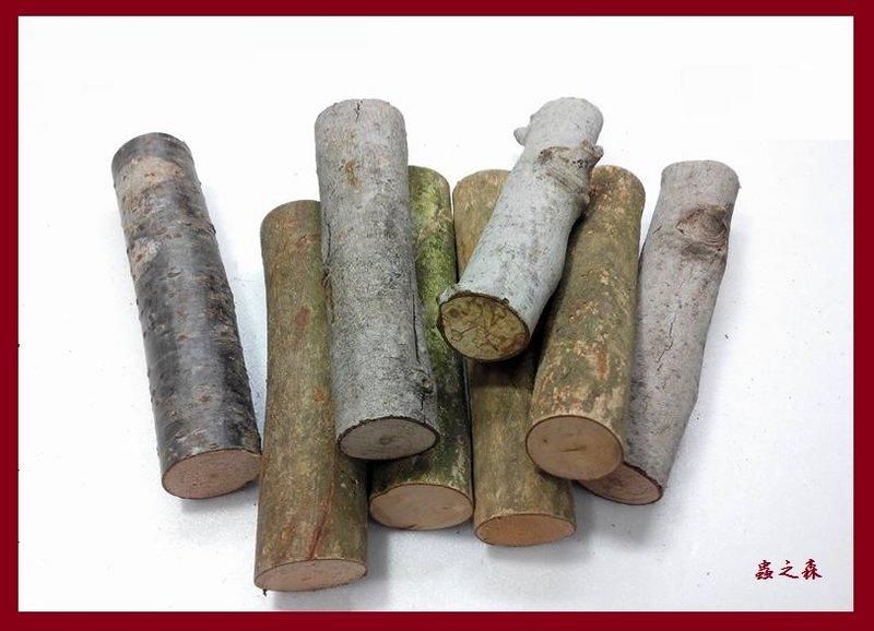 【蟲之森 甲蟲】攀爬木塊.樹皮．樹枝．樹塊．防止昆蟲、寵物跌倒木塊、造景 （獨角仙，鍬形蟲．甲蟲．寵物專用）3支 $49